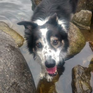 Meet your Posher, Leanne